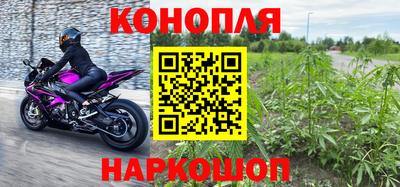 прущие крисы Изобильный