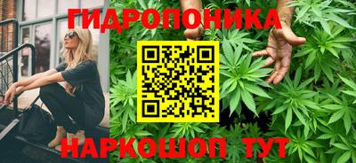 прущие крисы Изобильный