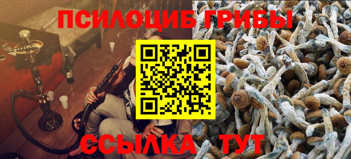 Галлюциногенные грибы мицелий  Псилоцибиновые грибы Cubensis  Вход с VPN  Лабытнанги 